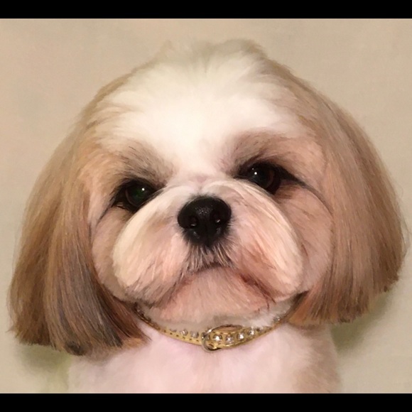 Meet your Posher, Michelle - Picture 1 of 1